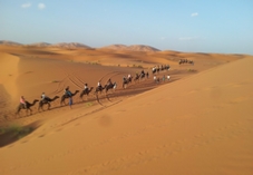 13 days Culture Tour from Casablanca 13 days Culture Tour from Casablanca
